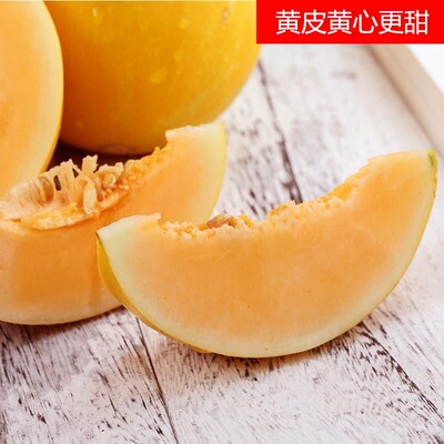 正宗黄河蜜瓜黄肉孕妇水果现摘黄金香瓜甜瓜黄金瓜软糯香甜