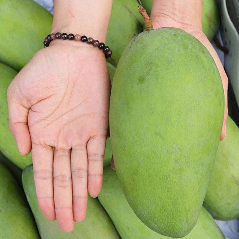 越南青芒10斤新鲜应季水果青皮金煌甜心芒果进口热带孕妇即食包邮 - 图0