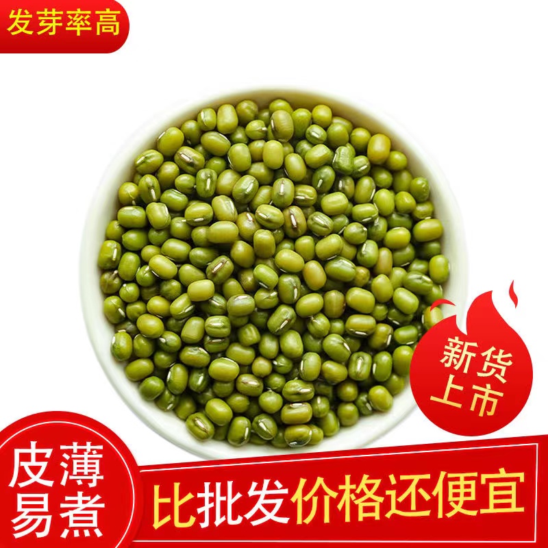 新货绿豆2500g农家自产发豆芽专用绿豆汤绿豆沙原料新鲜发芽散装 - 图0