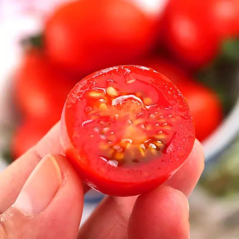 新鲜现摘圣女果千禧小番茄广西当季水果农家自种自然熟樱桃小番茄,淘宝优惠券,粉丝福利购,淘宝优惠卷
