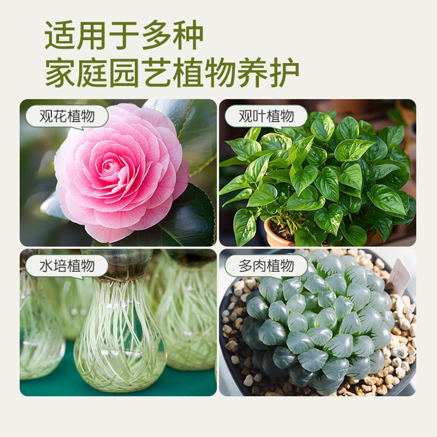 强力生根粉多灵菌快速扦插植物通用花卉果树木移栽专用营养肥料,淘宝优惠券,粉丝福利购,淘宝优惠卷