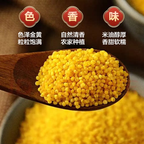米益康陕北米脂黄小米新米厚煮粥杂粮米5斤粗粮小包装食用养胃 - 图1