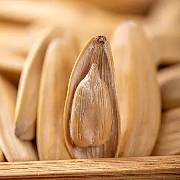 【手打五香瓜子450g*2袋装】[6元优惠券]-寻折猪