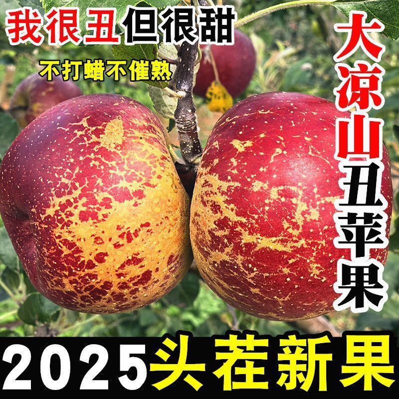 【大凉山盐源直发】四川盐源丑苹果冰糖心新鲜水果盐源苹果