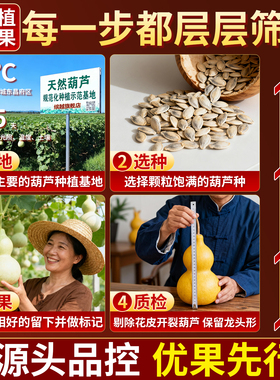 天然葫芦挂件真胡芦开口葫芦摆件