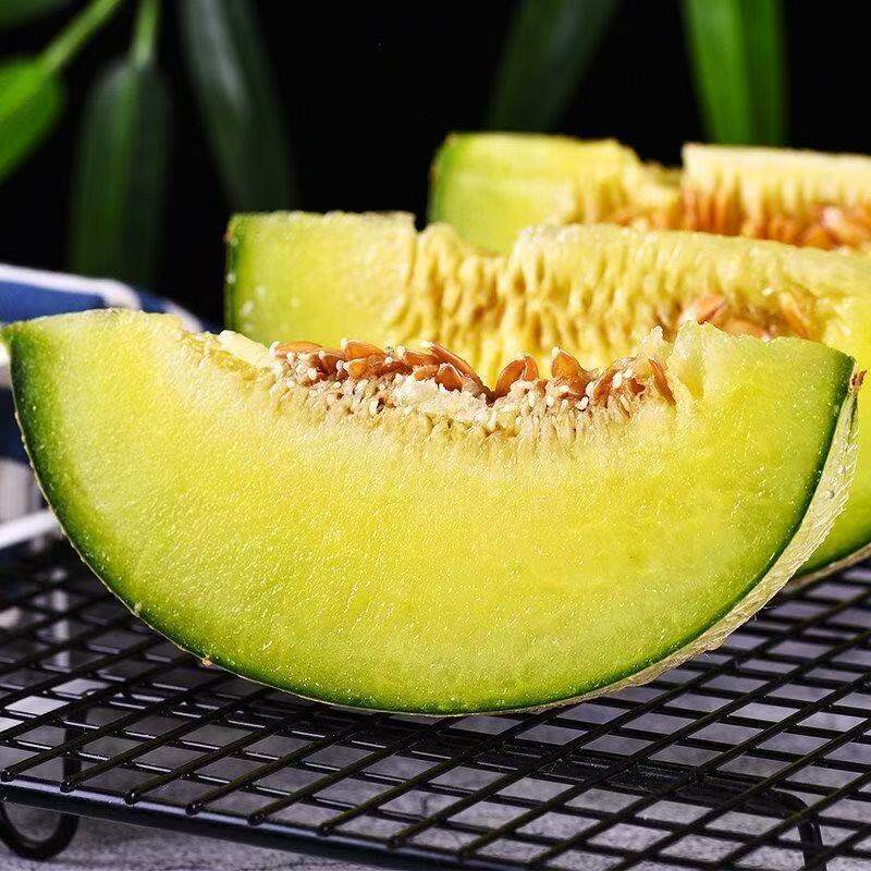 【海南直发】正宗网纹瓜蜜瓜冰淇淋网文瓜一藤一瓜新鲜当季水果 【海南直发】正宗网纹瓜蜜瓜冰淇淋网文瓜一藤一瓜新鲜当季水果