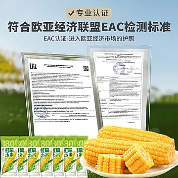 下拉到手17!农投北誉甄品粘糯玉米棒*8根[2元优惠券]-寻折猪