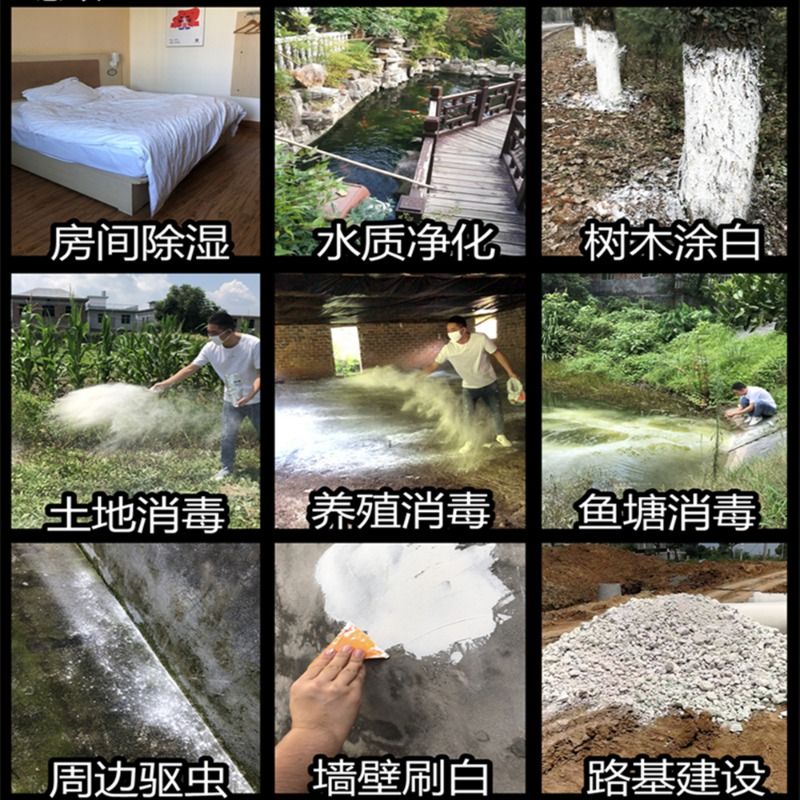 生石灰块消毒除湿鱼塘种植图树干燥剂潮湿氧化钙吸湿霉味房间发霉 - 图1