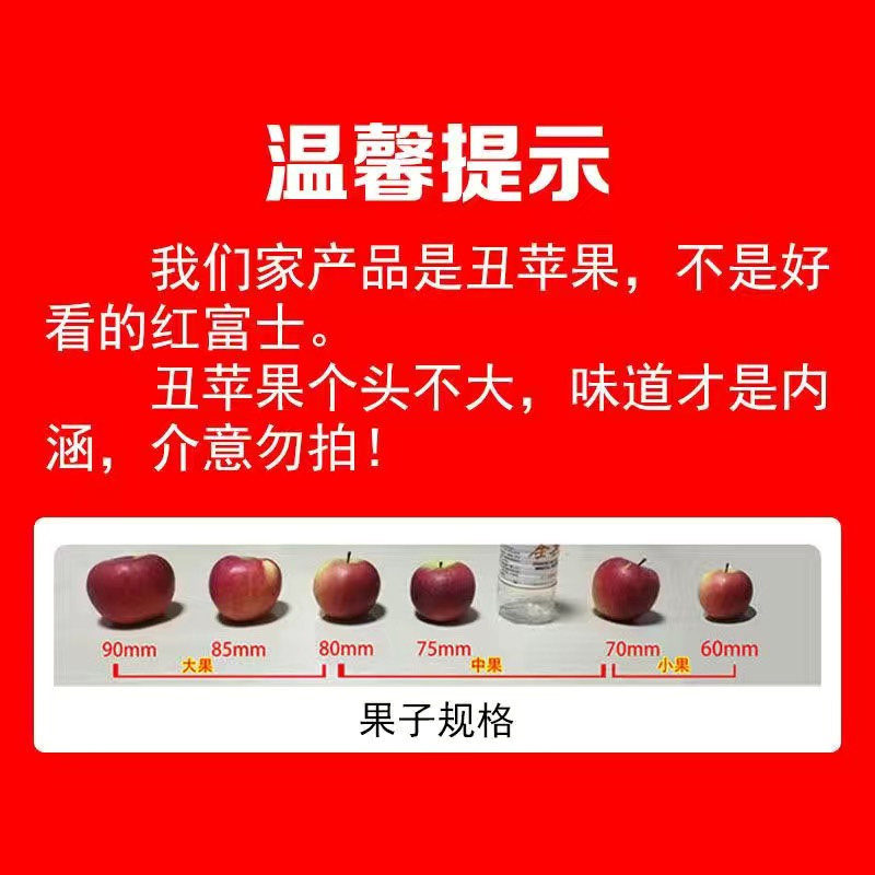 2025新鲜水果大凉山当季整箱冰糖心丑苹果孕妇四川盐源红富士包邮,淘宝优惠券,粉丝福利购,淘宝优惠卷