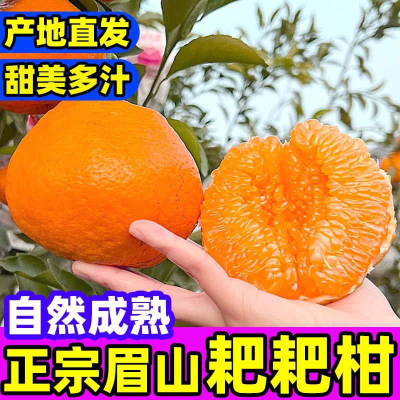 B地标授权正宗四川眉山耙耙柑新鲜水果丑橘粑粑柑现摘发货当丑橘,淘宝优惠券,粉丝福利购,淘宝优惠卷