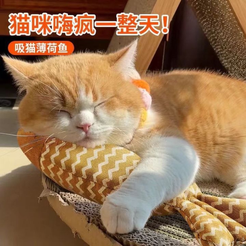 猫玩具自嗨解闷猫薄荷猫咪逗猫棒小猫磨牙宠物猫猫用品耐咬大号