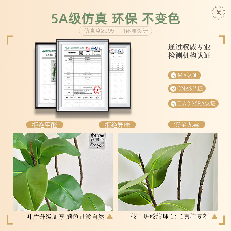 植物黑金件客厅高级感装饰摆刚室内沙发电视柜旁假树仿新品,淘宝优惠券,粉丝福利购,淘宝优惠卷