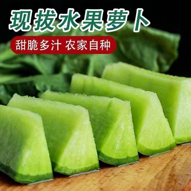 正宗水果萝卜甜脆水果型萝卜青萝卜新鲜生吃脆甜即食农家蔬菜整箱,淘宝优惠券,粉丝福利购,淘宝优惠卷