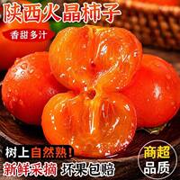 下拉9.17元！新鲜水果火晶柿子30枚