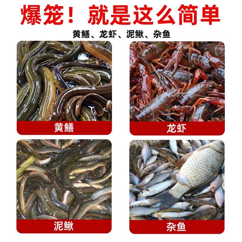 黄鳝诱饵龙虾饵料鳝鱼虾料虾笼地网笼渔网笼万能鱼饵主攻配方溪流 - 图2