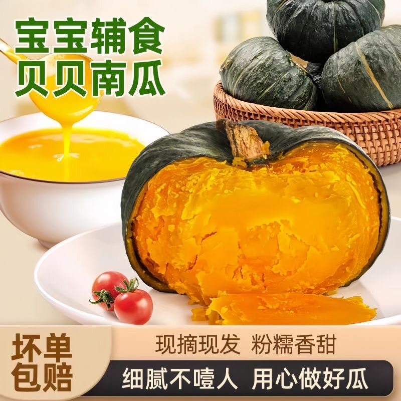 正宗真贝贝南瓜板栗味小南瓜粉糯婴儿辅食批发新鲜3斤5斤香甜
