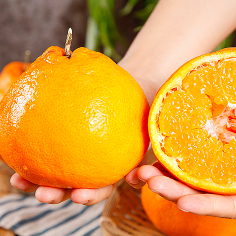 四川春见耙耙柑粑粑柑杷杷柑新鲜水果整箱10当季橘甜爆汁年货节,淘宝优惠券,粉丝福利购,淘宝优惠卷