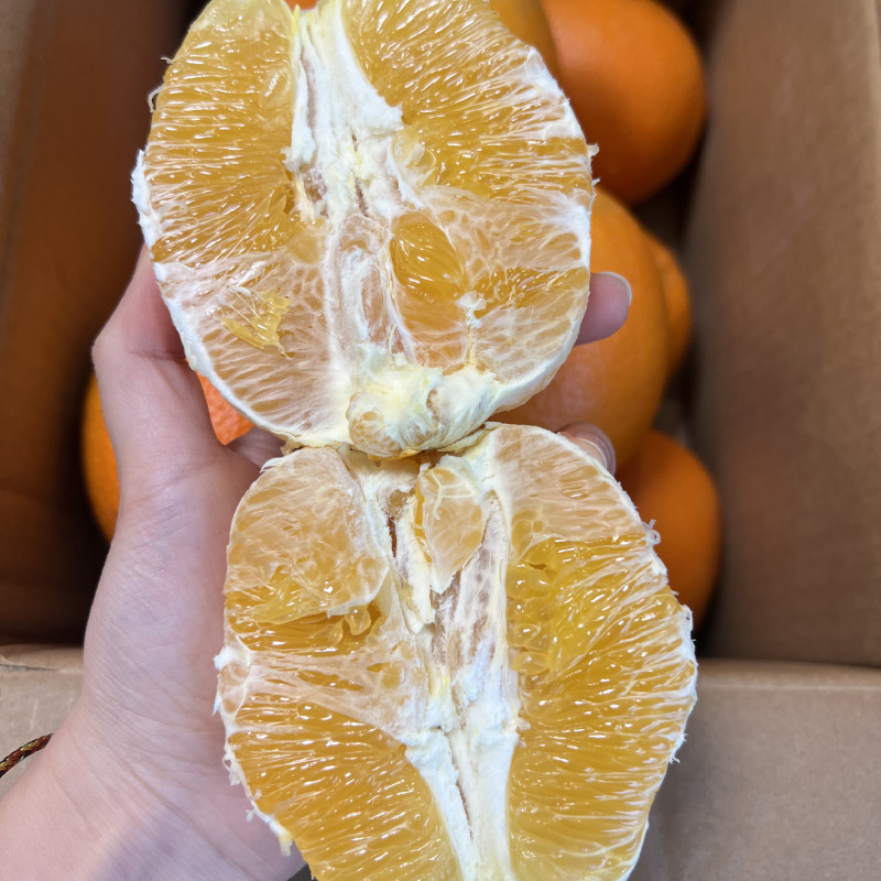 重庆奉节脐橙纽荷尔橙子当季新鲜时令水果甜橙手剥橙
