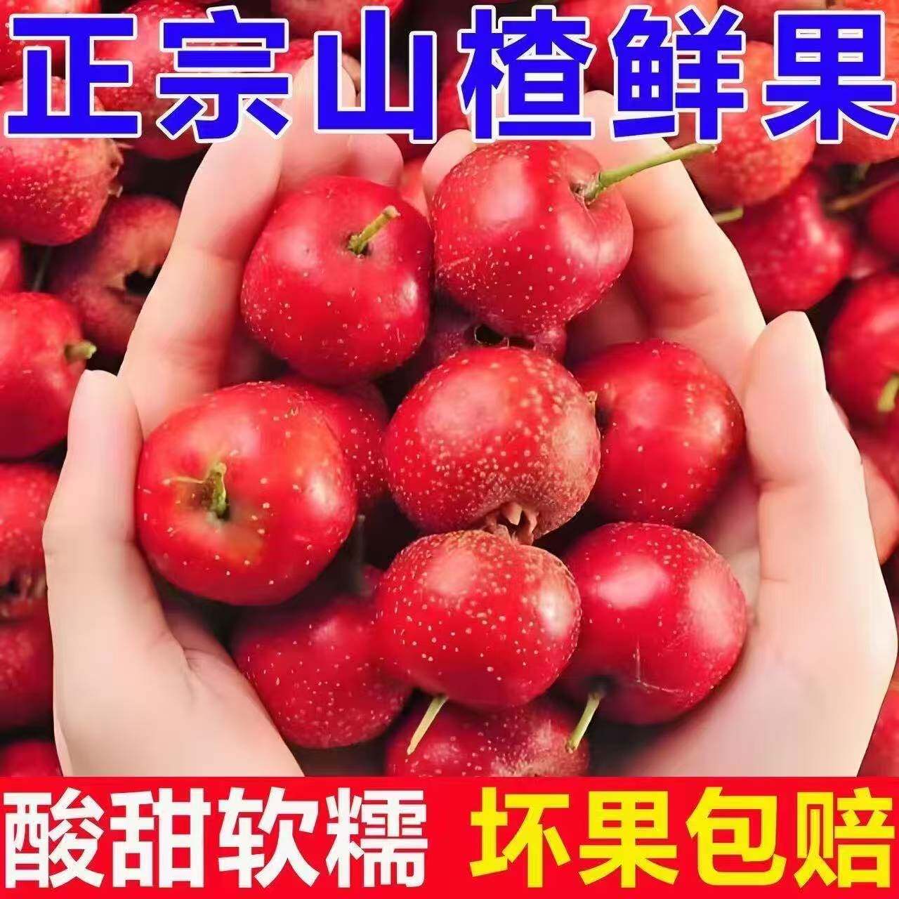 图 3