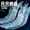 Fresh shrimps, quick-frozen, fresh extra large Qingdao prawns, frozen prawns, extra large prawns, sea green shrimps, seafood and aquatic products