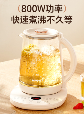 志高多功能炖煮泡茶保温养生壶