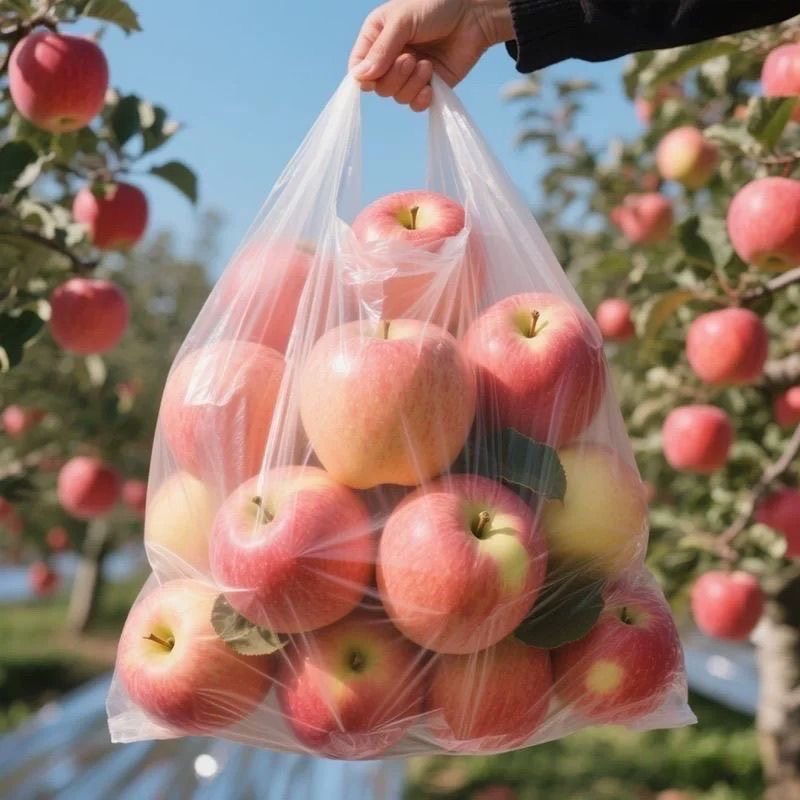 正宗砀山富士丑苹果水果新鲜脆甜当季皮薄超甜9斤榨汁多汁,淘宝优惠券,粉丝福利购,淘宝优惠卷