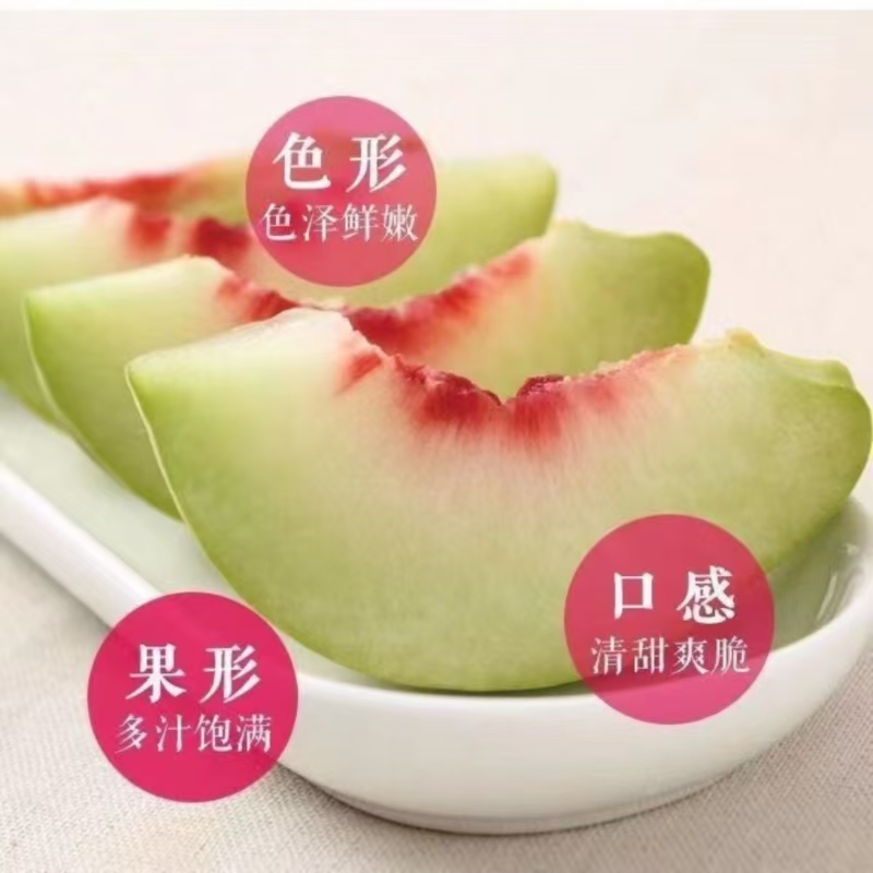 正宗山东青州蜜青皮蜜桃冬桃当季应季水果小冬桃甜桃5斤包邮 - 图2