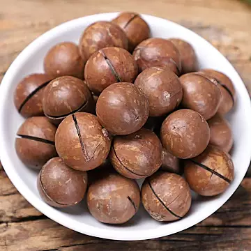 新货奶香味夏威夷果500g装[3元优惠券]-寻折猪