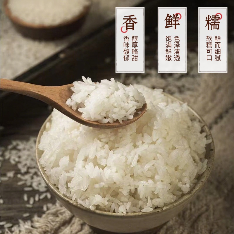 粮园道虾稻米5kg南方米香米10斤真空包装当季新米油粘煲仔饭籼米