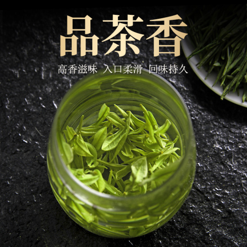 正宗白茶安吉高山特级2024年新茶礼盒装珍稀绿茶明前前散装茶叶