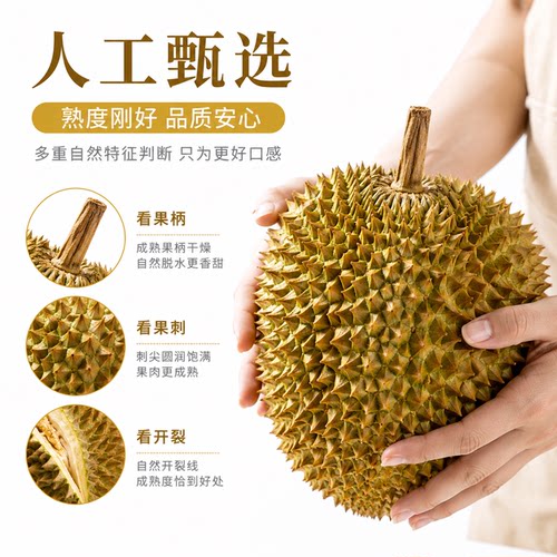 泰国金枕榴莲新鲜水果鲜果榴莲肉当季孕妇水果顺丰包邮冷冻阳光 - 图2