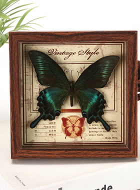 天堂翠凤蝶标本相框真蝴蝶DIY摆台装饰生日礼物礼品桌面绿带动物