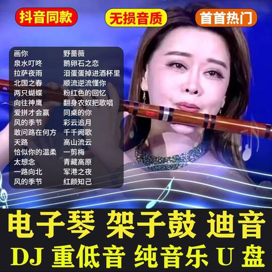 电子琴笛子架子鼓dj合奏曲车载音乐u盘抖音同款无损高品歌曲