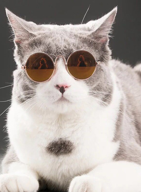 眼镜墨镜小型犬太阳镜棉花娃娃可爱装扮配饰圆脸强光超轻偏光复古