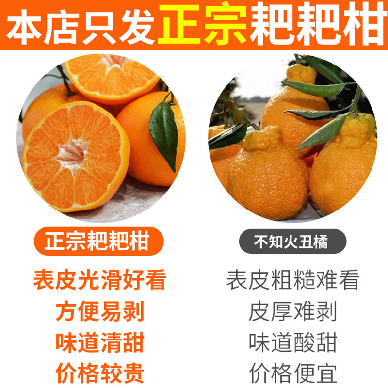 正宗四川春见耙耙柑爆甜粑粑柑新鲜孕妇水果当季整箱柑橘子蜜桔子,淘宝优惠券,粉丝福利购,淘宝优惠卷