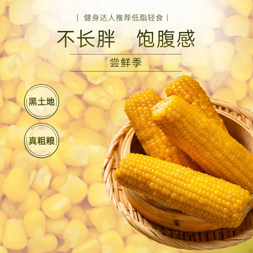 东北新鲜黄糯粘玉米甜糯玉米棒健康代餐非转基因大棒真空包装220g-图1