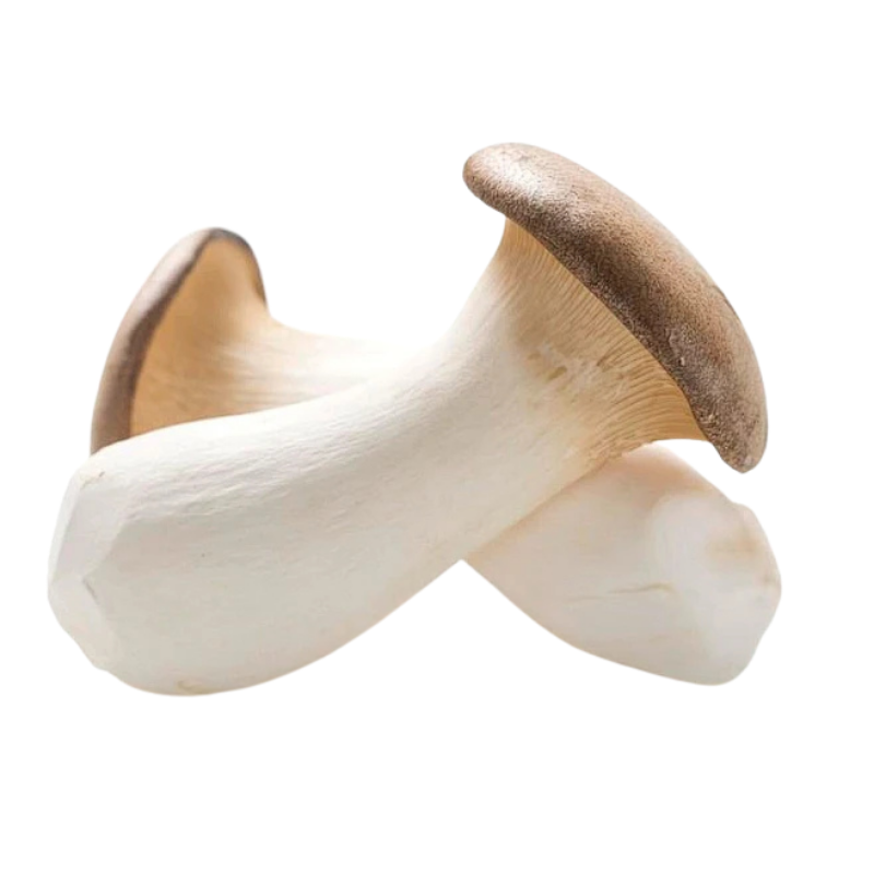 【有机蔬菜】新鲜大粒杏鲍菇鸡腿菇烧烤火锅食材蘸酱菜云南新鲜菜,淘宝优惠券,粉丝福利购,淘宝优惠卷