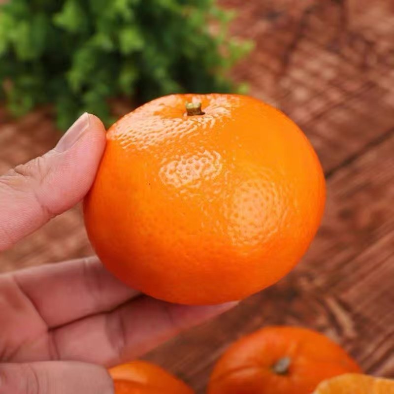 广西武鸣沃柑树上新鲜采摘甜橙子孕妇水果健康零食过年年货水果,淘宝优惠券,粉丝福利购,淘宝优惠卷