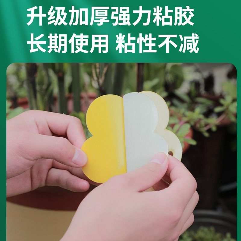 小飞虫克星诱虫板双面粘虫板小黑飞粘虫纸家用黄色果蝇诱捕器捕捉 - 图2