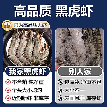 礼金+金币到手58！超大黑虎虾净重800g[1元优惠券]-寻折猪