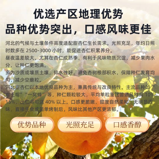 野三坡特产南杏仁片500g生甜杏仁露露烘焙原料瓜子花生原味核桃仁