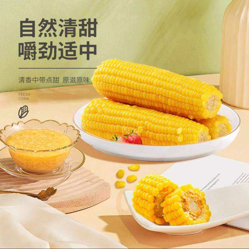 正宗东北黄糯玉米棒真空锁鲜装软糯香甜现摘新鲜黏玉米粗粮代餐,淘宝优惠券,粉丝福利购,淘宝优惠卷