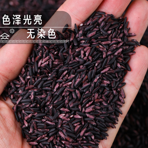 云农伯伯云南墨江紫米250g500g紫糯米批发黑米血糯米饭团 - 图3