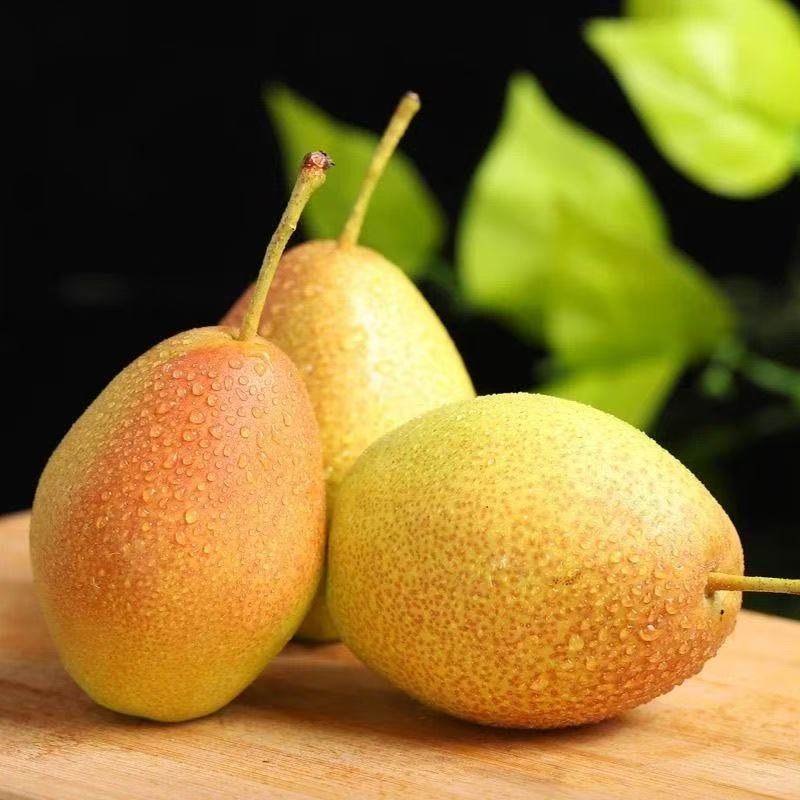 批发价正宗红香酥梨现摘青红皮香梨新鲜水果当季应季整箱薄皮脆甜,淘宝优惠券,粉丝福利购,淘宝优惠卷