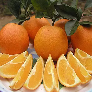 【单果70-90】正宗赣南脐橙净重4.5斤[1元优惠券]-寻折猪