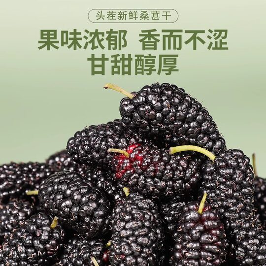 Dried mulberry 500g special grade | over 5000 additional purchases
