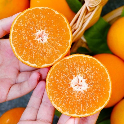 四川眉山爱媛38号果冻橙产地直发新鲜采摘皮薄多汁儿童孕妇应季橙