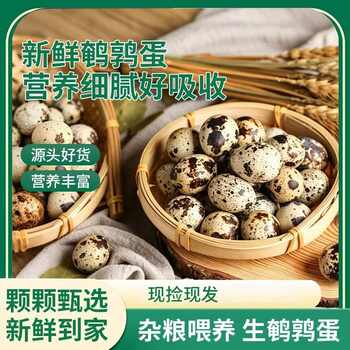 农家杂粮喂养新鲜生鹌鹑蛋多种吃法口感细腻整箱发货批发包邮农场实付9.8元到手包邮