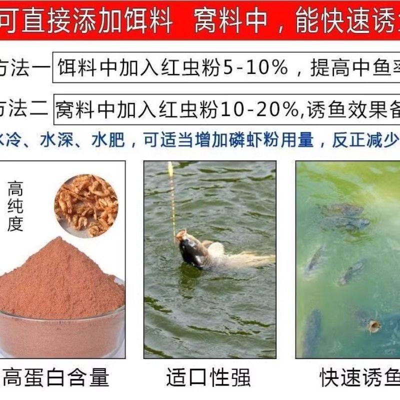 纯正南极磷虾粉浓腥虾粉饵料钓鱼专用窝料野钓春夏季鲫鱼垂钓饵料,淘宝优惠券,粉丝福利购,淘宝优惠卷