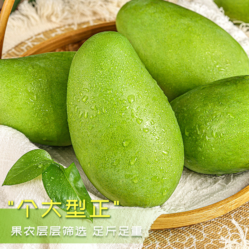 现摘现发新鲜大青芒酸脆生吃当季水果芒果芽广西青芒果整箱包邮